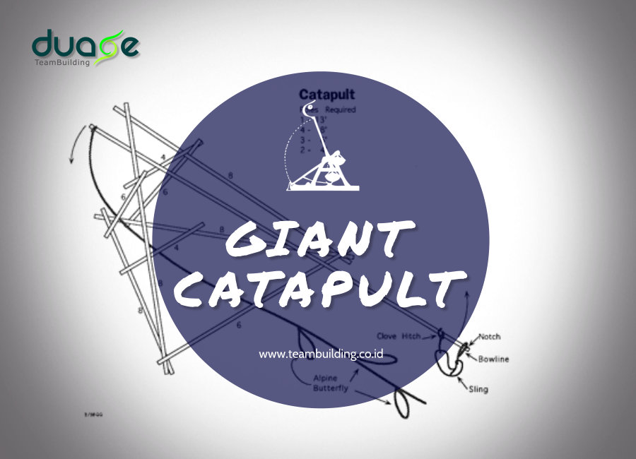Giant Catapult