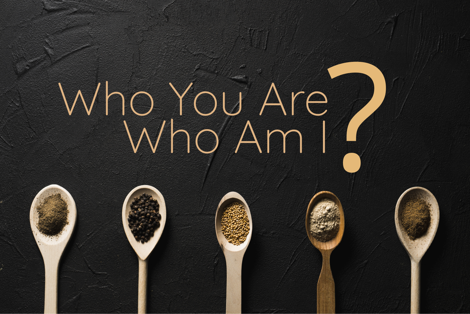 Who You Are Who Am I Yuk Kenali Peran Kita Di Dalam Team