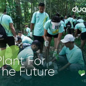 Plant For The Future